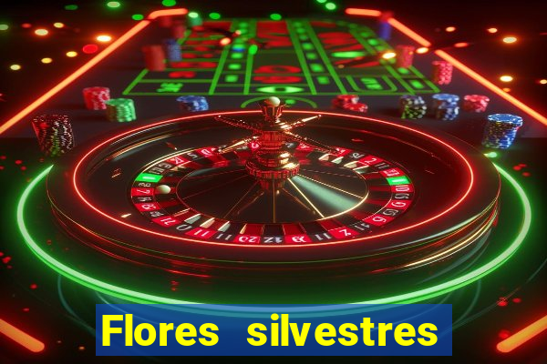 Flores silvestres brasileiras brasileiras flores silvestres nomes e imagens